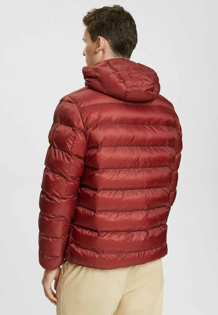 Esprit Winter Jacket - Terracotta - Image 3