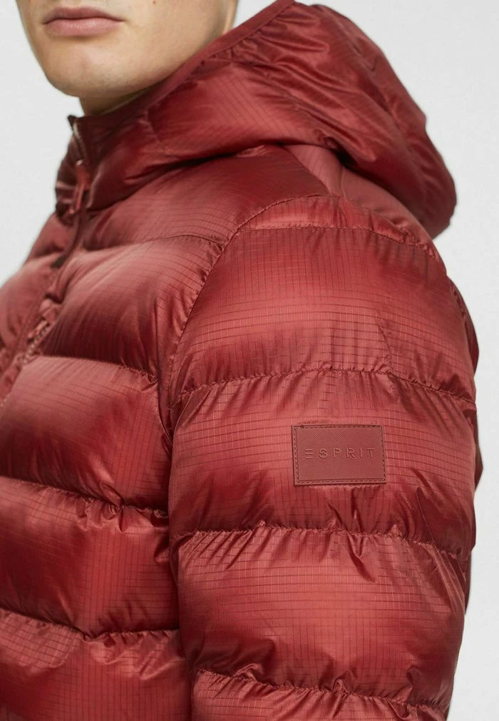 Esprit Winter Jacket - Terracotta - Image 4