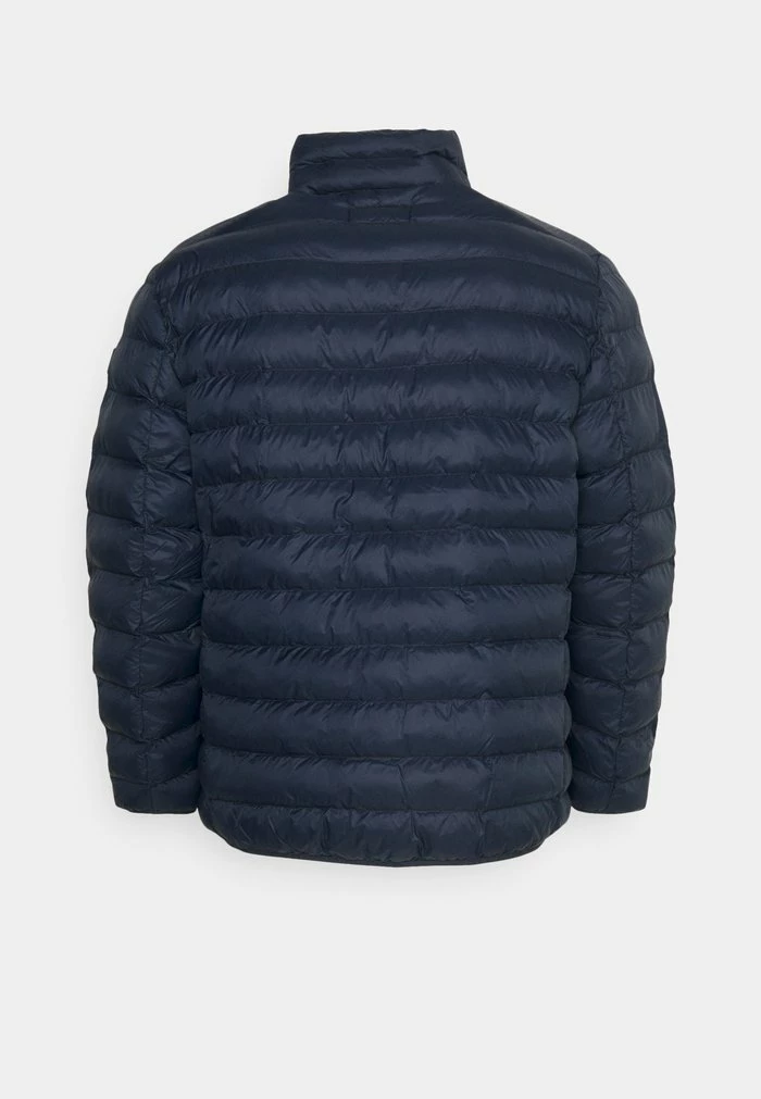 Esprit PUFFER JACKET - Winter Jacket - Navy - Image 2