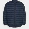 Esprit PUFFER JACKET - Winter Jacket - Navy