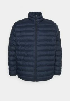 Esprit PUFFER JACKET - Winter Jacket - Navy