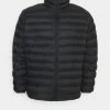 Esprit PUFFER JACKET - Winter Jacket - Black