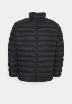 Esprit PUFFER JACKET - Winter Jacket - Black