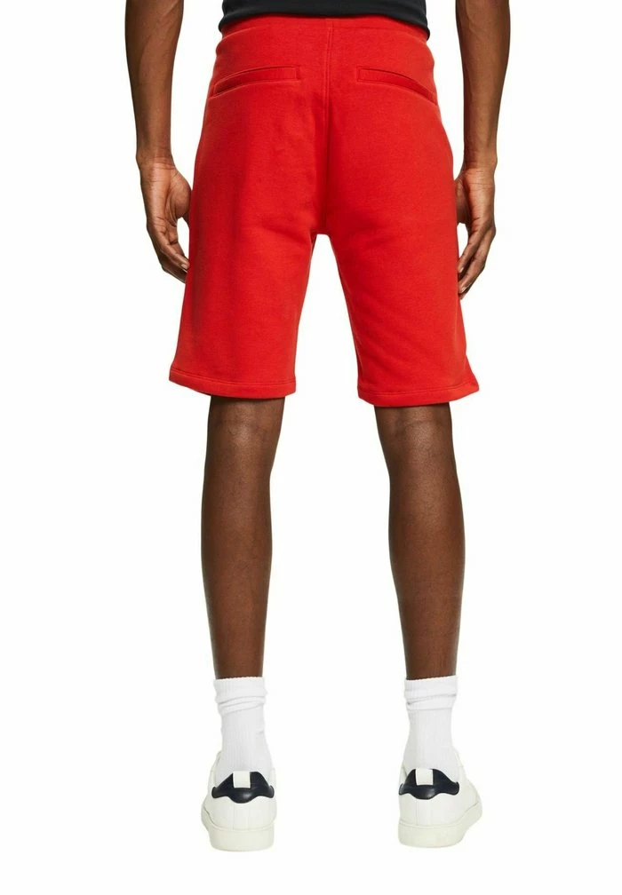 Esprit STRAIGHT FIT - Shorts - Red Orange - Image 7