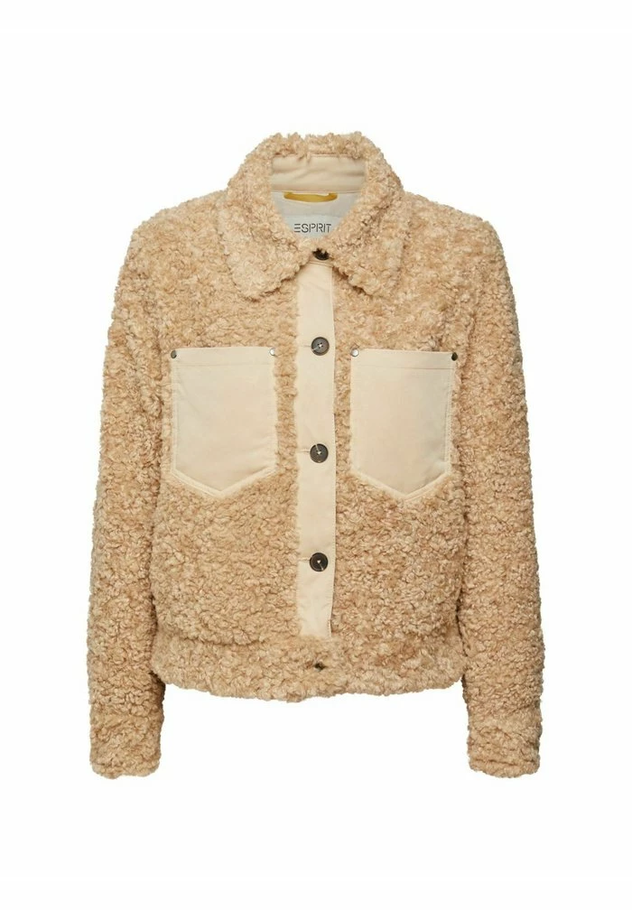 Esprit SHACKET AUS - Winter Jacket - Cream Beige - Image 4