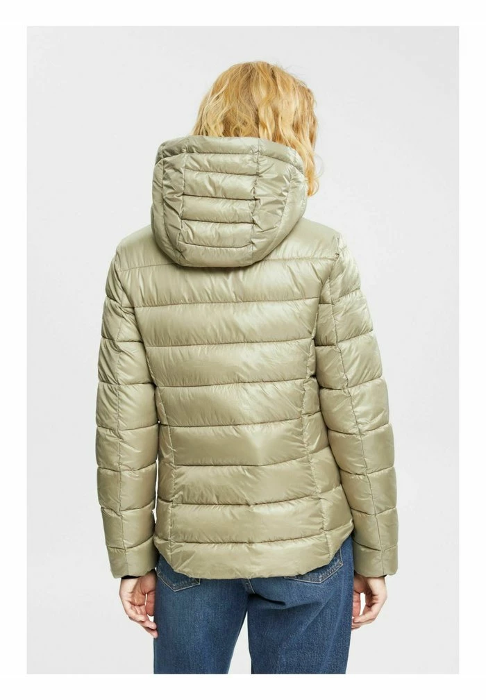 Esprit Winter Jacket - Pale Khaki - Image 3