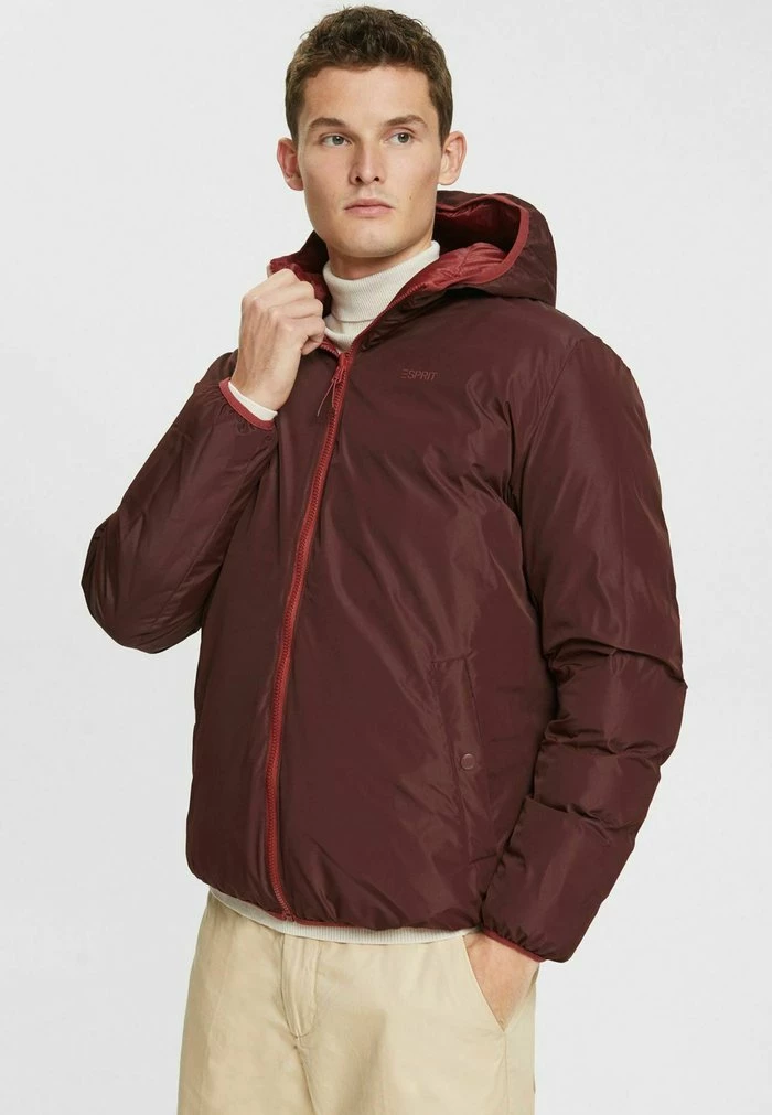 Esprit Winter Jacket - Terracotta - Image 5