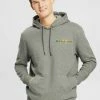 Esprit KLEINEM LOGO - Hoodie - Medium Grey