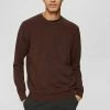 Esprit RUNDHALS - Jumper - Dark Brown